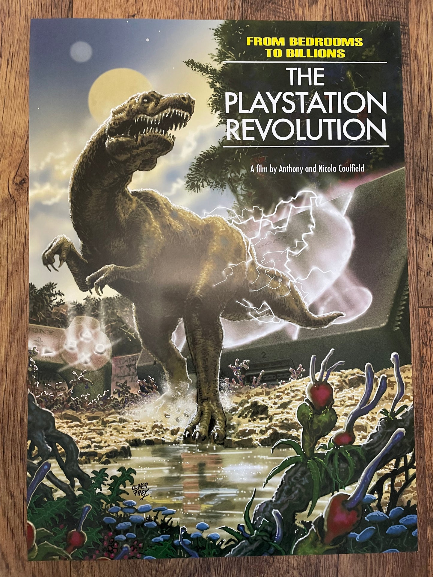 The Playstation Revolution 'Signed' A2 portrait poster (rare Kickstarter artwork)